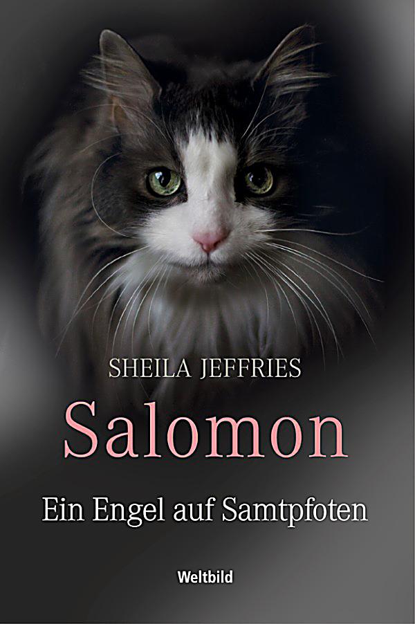 Solomons_Tale, Salomon Ein Engel auf Samtpfoten, Sheila Jeffries